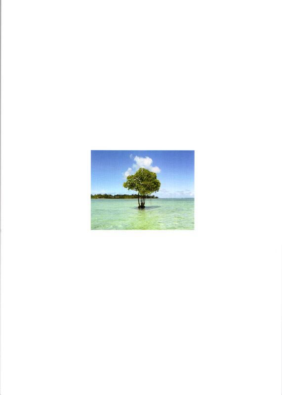 ISME Mangrove Action Plan for the sustainable management of mangroves 2004-2009 - rückseite